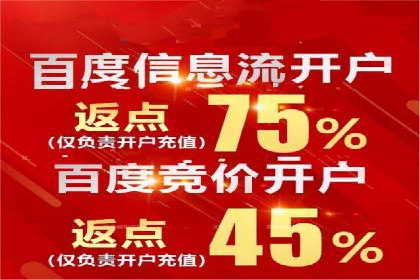 竞价广告赚钱秘籍：百度实战案例
